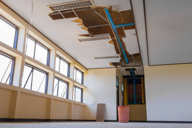 Best Fire Damage Restoration  in St Francisville, LA