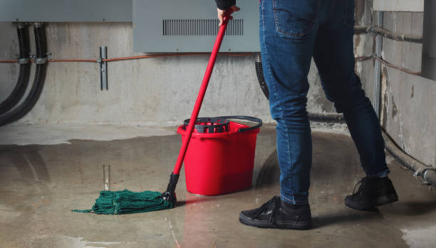 Best Basement water damage restoration  in St Francisville, LA