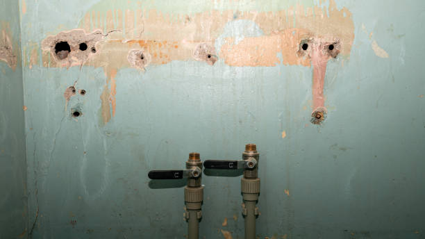 Best Local water damage restoration  in St Francisville, LA