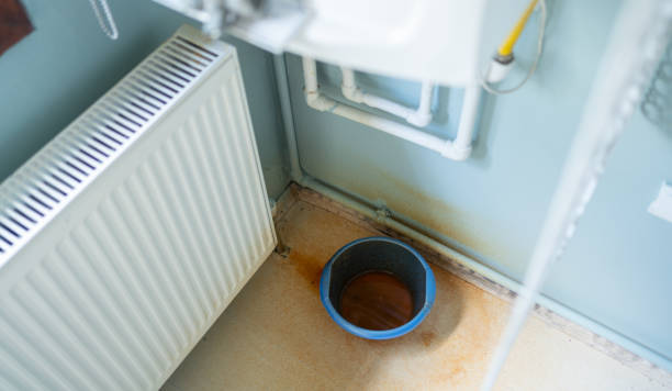 Best Flood damage cleanup  in St Francisville, LA