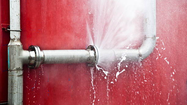 Best Flooded house restoration  in St Francisville, LA