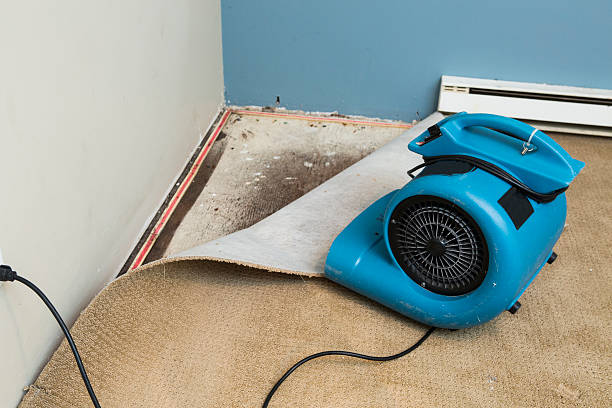 Best Emergency water damage restoration  in St Francisville, LA